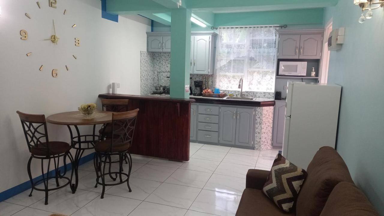 Cozy Vacation Retreat With Free Parking Apartment Roseau Exterior photo